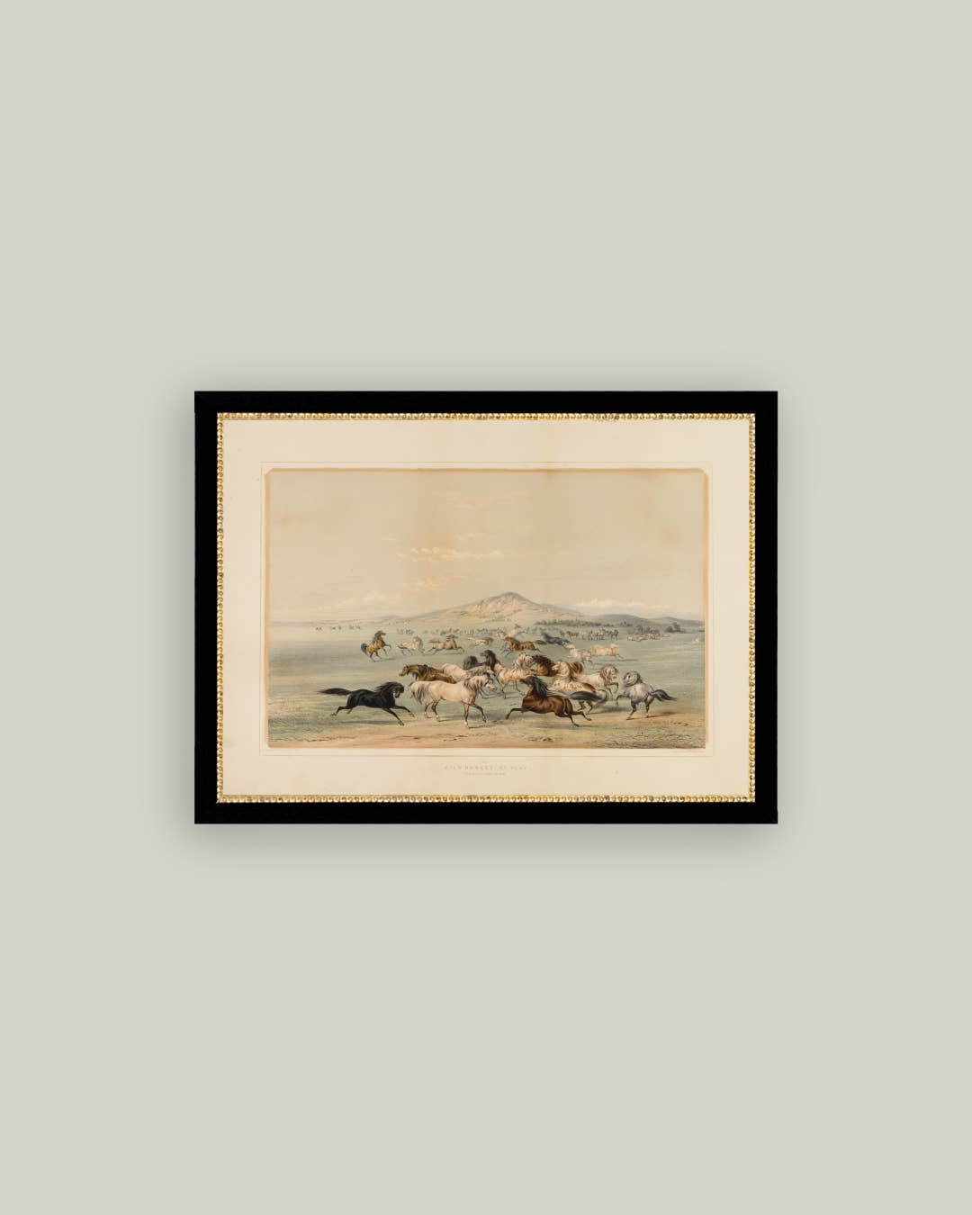 Field Of Hunting Horses Framed Antique Art: 38 x 28cm - Cobblestone Australia