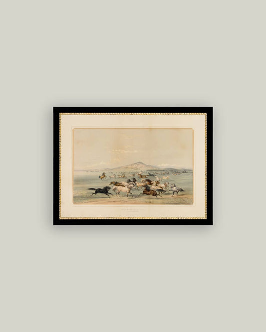 Field Of Hunting Horses Framed Antique Art: 38 x 28cm - Cobblestone Australia
